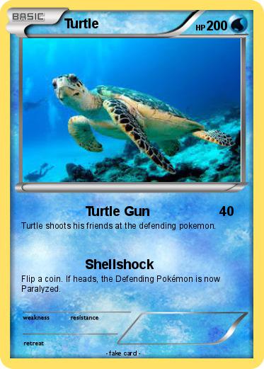 Pokemon Turtle