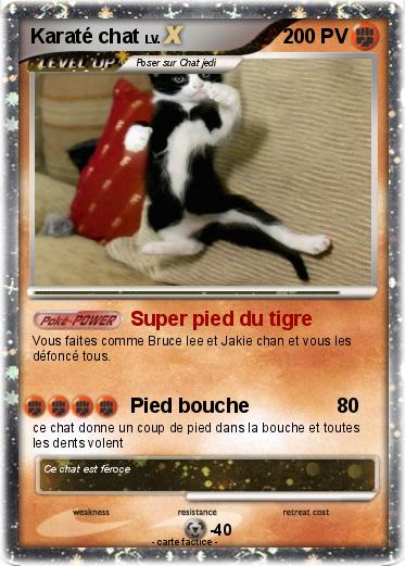 Pokemon Karaté chat
