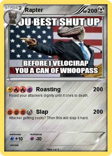 Pokemon Rapter