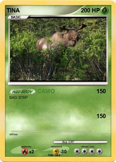 Pokemon TINA