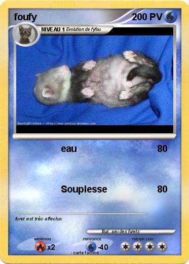 Pokemon foufy