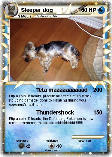 Pokemon Sleeper dog