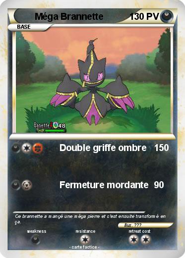 Pokemon Méga Brannette