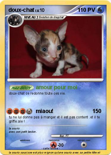 Pokemon doux-chat