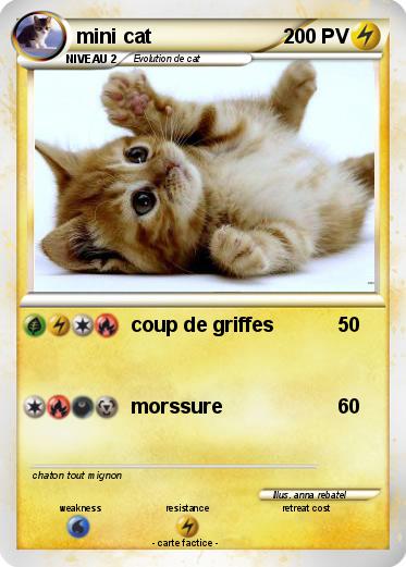 Pokemon mini cat