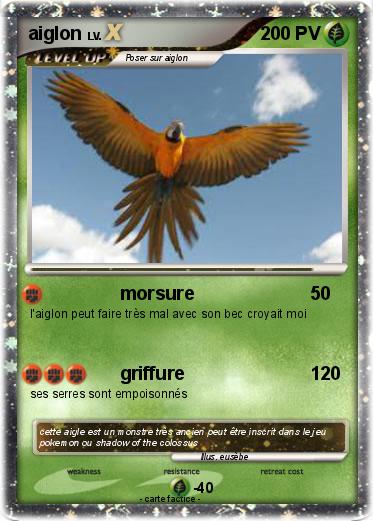 Pokemon aiglon