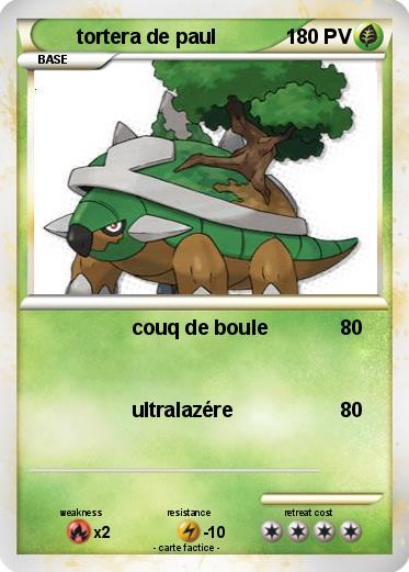 Pokemon tortera de paul