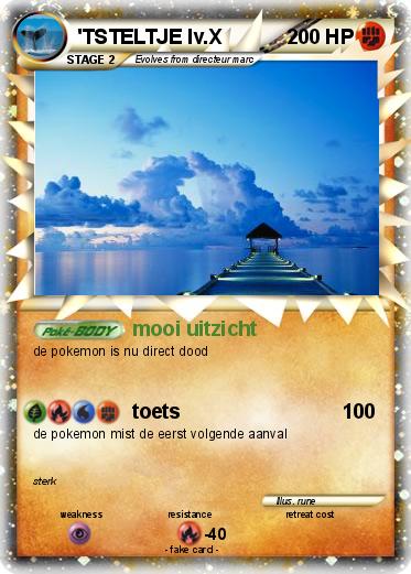Pokemon 'TSTELTJE lv.X