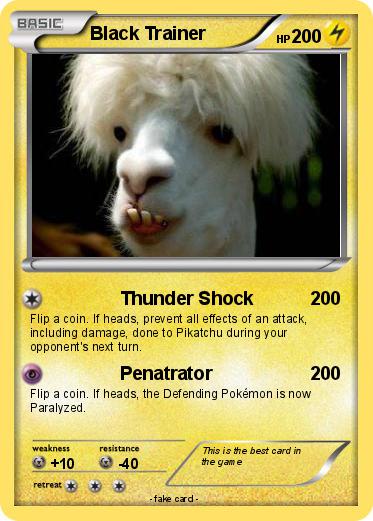Pokemon Black Trainer