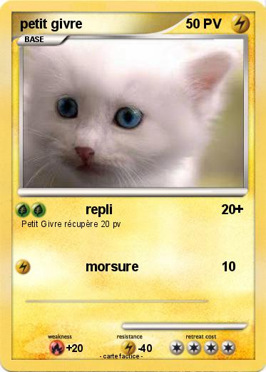 Pokemon petit givre