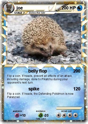 Pokemon joe