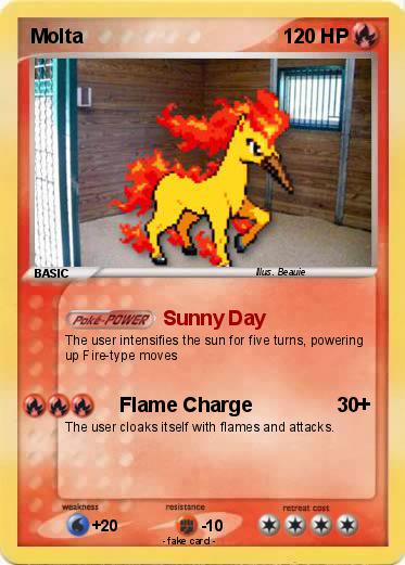 Pokemon Molta