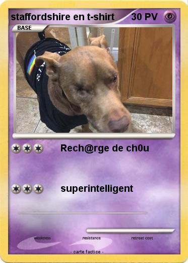 Pokemon staffordshire en t-shirt