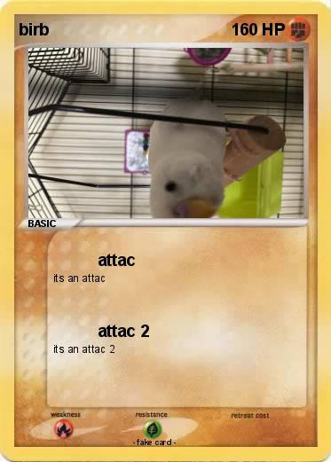 Pokemon birb