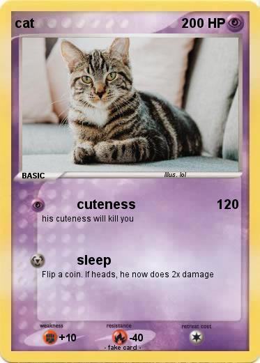 Pokemon cat