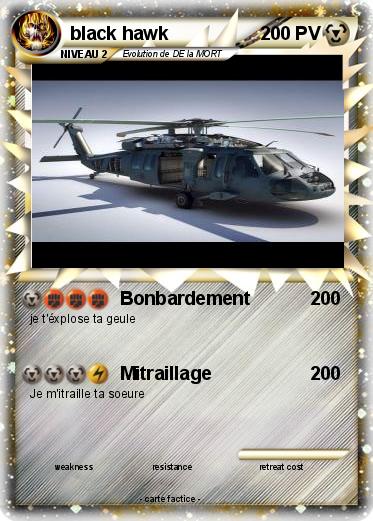 Pokemon black hawk