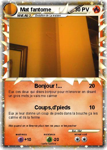 Pokemon Mat fantome