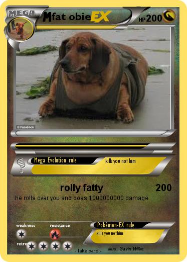 Pokemon fat obie