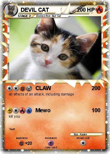 Pokemon DEVIL CAT