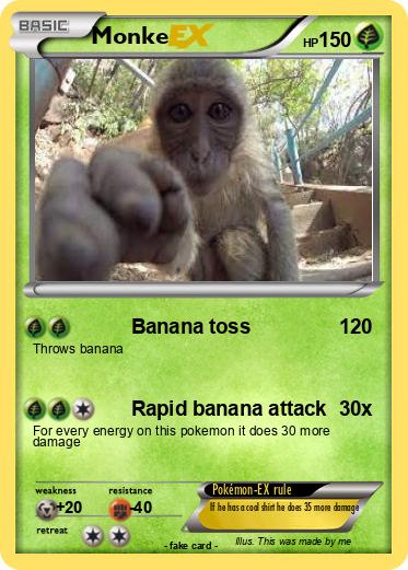 Pokemon Monke