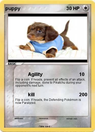 Pokemon puppy
