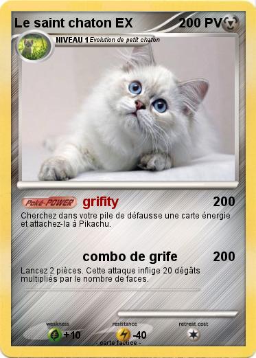Pokemon Le saint chaton EX