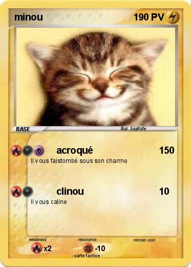 Pokemon minou