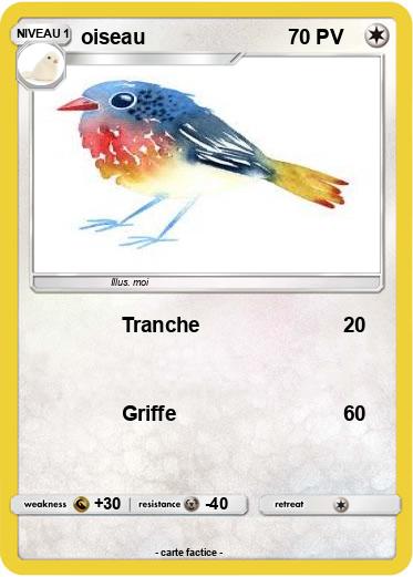 Pokemon oiseau