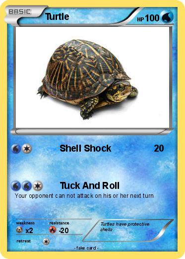 Pokemon Turtle