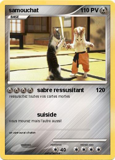 Pokemon samouchat