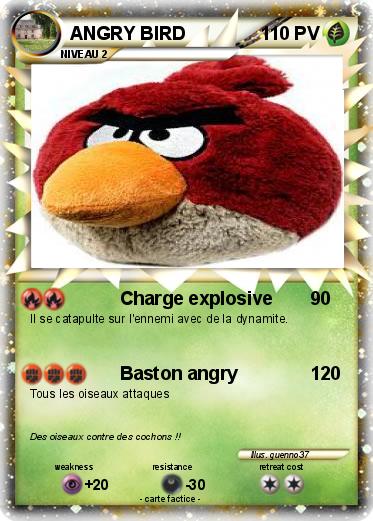 Pokemon ANGRY BIRD