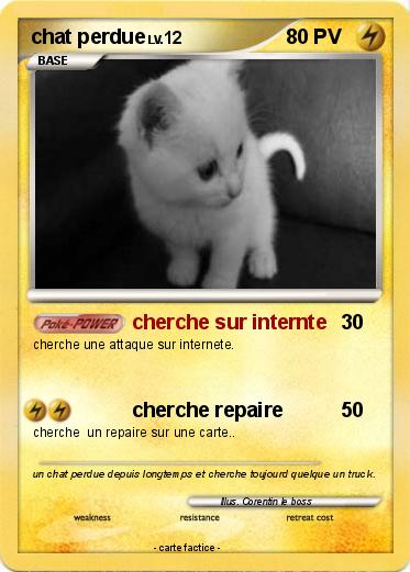 Pokemon chat perdue