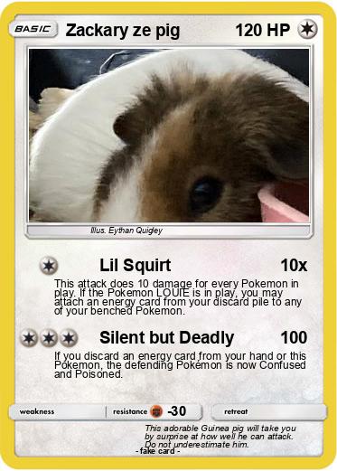 Pokemon Zackary ze pig