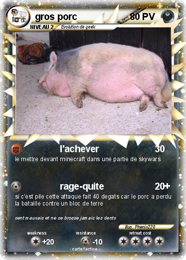 Pokemon gros porc