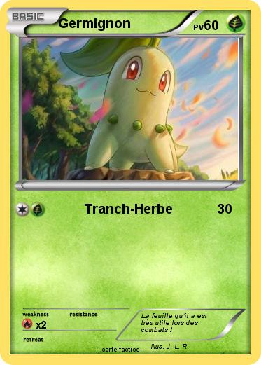 Pokemon Germignon