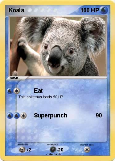 Pokemon Koala