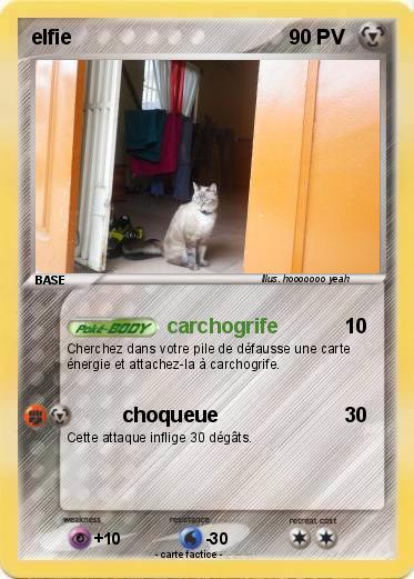 Pokemon elfie
