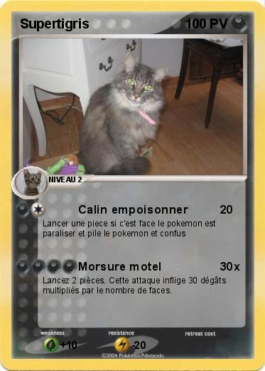 Pokemon Supertigris 
