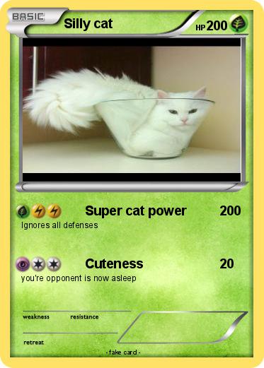 Pokemon Silly cat