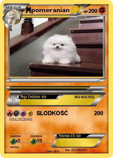 Pokemon pomeranian