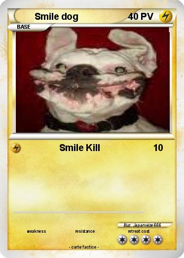 Pokemon Smile dog