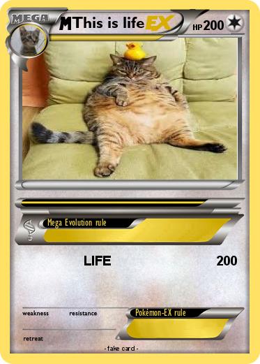 Pokemon This is life