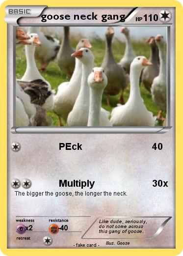 Pokemon goose neck gang