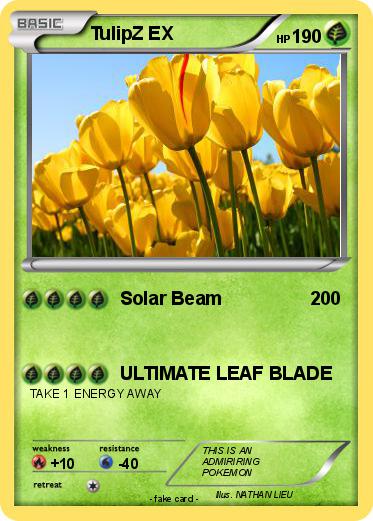 Pokemon TulipZ EX