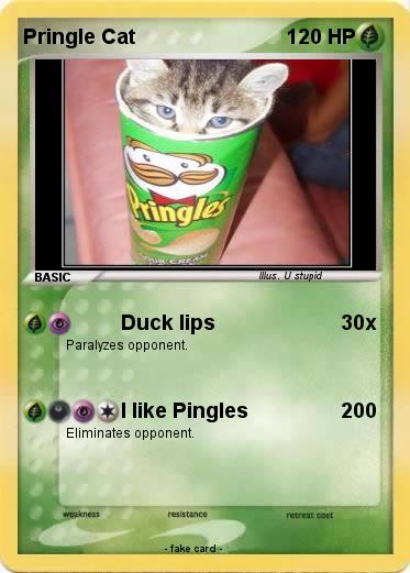 Pokemon Pringle Cat