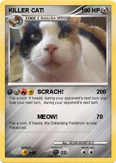 Pokemon KILLER CAT!