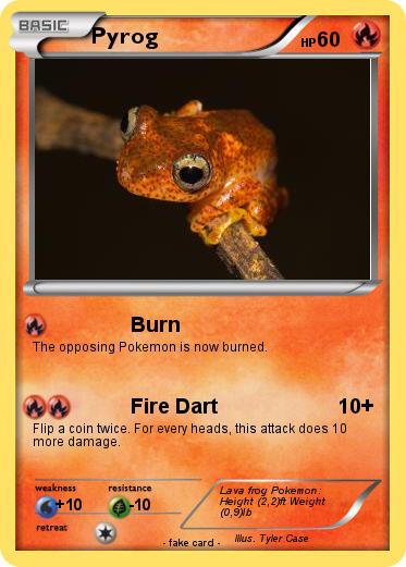 Pokemon Pyrog