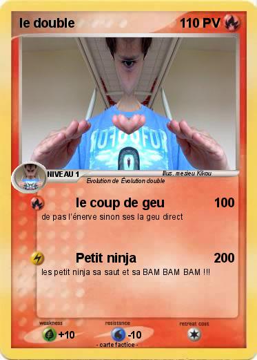 Pokemon le double