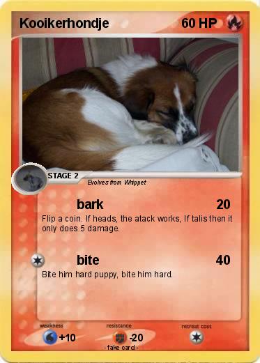 Pokemon Kooikerhondje