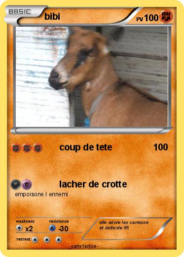 Pokemon bibi
